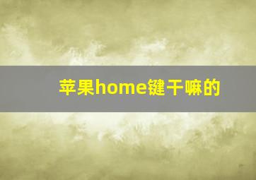 苹果home键干嘛的