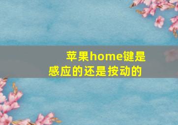 苹果home键是感应的还是按动的