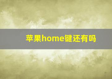 苹果home键还有吗