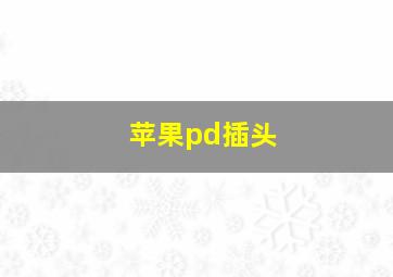 苹果pd插头