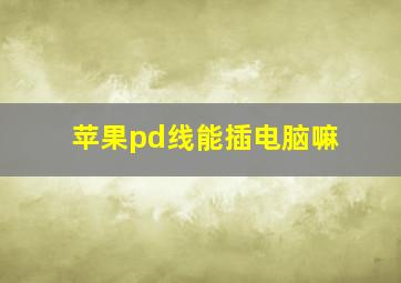 苹果pd线能插电脑嘛