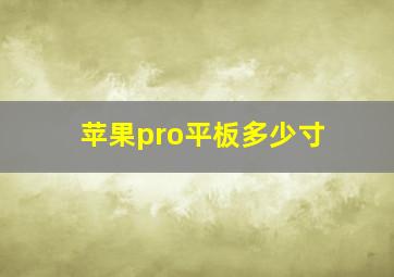 苹果pro平板多少寸