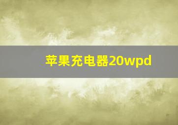 苹果充电器20wpd