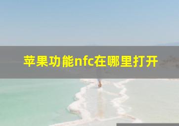 苹果功能nfc在哪里打开