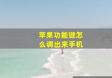 苹果功能键怎么调出来手机