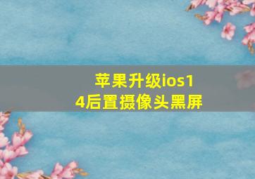 苹果升级ios14后置摄像头黑屏