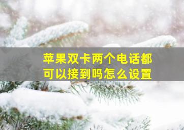 苹果双卡两个电话都可以接到吗怎么设置