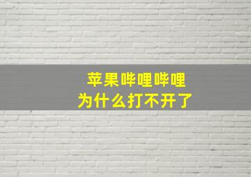 苹果哔哩哔哩为什么打不开了