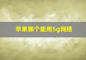 苹果哪个能用5g网络