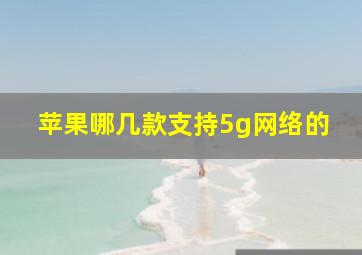 苹果哪几款支持5g网络的