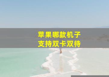 苹果哪款机子支持双卡双待