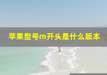 苹果型号m开头是什么版本