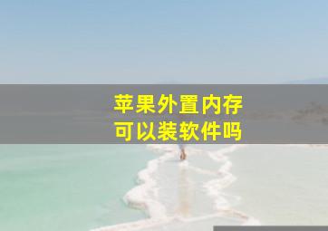 苹果外置内存可以装软件吗