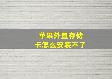 苹果外置存储卡怎么安装不了