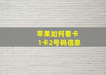 苹果如何看卡1卡2号码信息