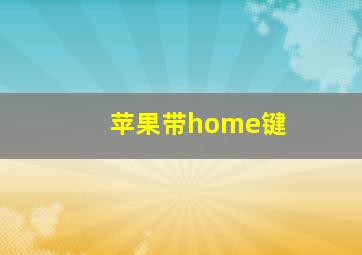 苹果带home键