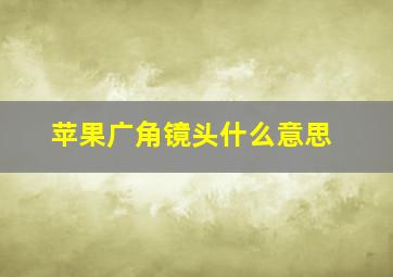 苹果广角镜头什么意思