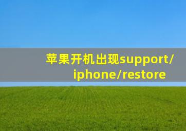 苹果开机出现support/iphone/restore