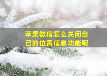 苹果微信怎么关闭自己的位置信息功能呢