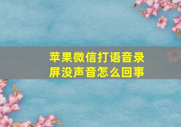 苹果微信打语音录屏没声音怎么回事