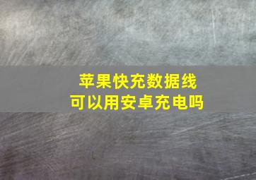 苹果快充数据线可以用安卓充电吗