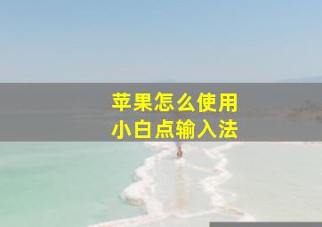 苹果怎么使用小白点输入法