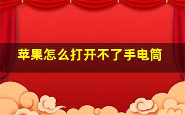 苹果怎么打开不了手电筒