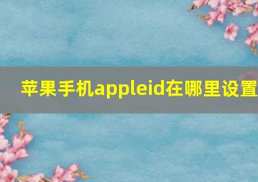 苹果手机appleid在哪里设置