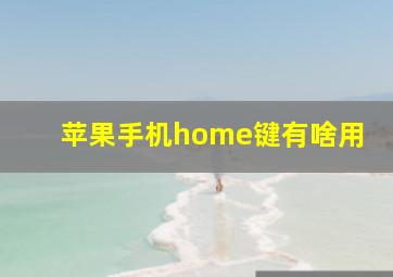 苹果手机home键有啥用