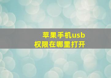 苹果手机usb权限在哪里打开