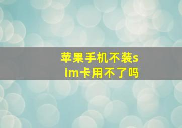 苹果手机不装sim卡用不了吗