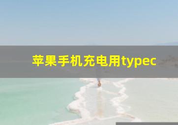 苹果手机充电用typec