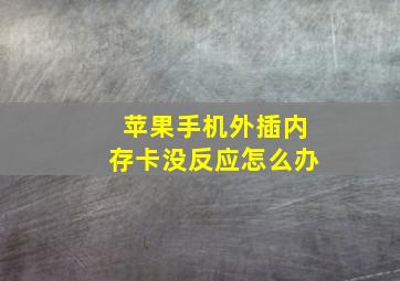 苹果手机外插内存卡没反应怎么办