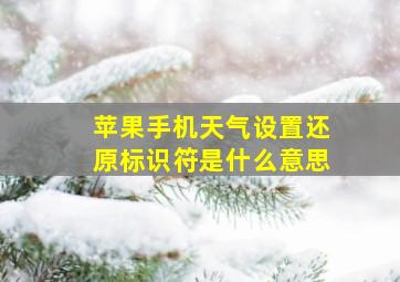 苹果手机天气设置还原标识符是什么意思