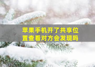 苹果手机开了共享位置查看对方会发现吗