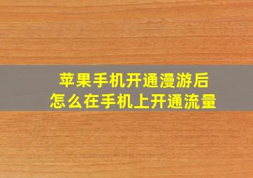 苹果手机开通漫游后怎么在手机上开通流量