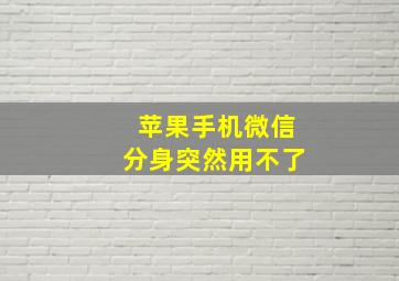 苹果手机微信分身突然用不了