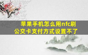 苹果手机怎么用nfc刷公交卡支付方式设置不了