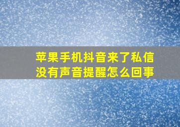 苹果手机抖音来了私信没有声音提醒怎么回事