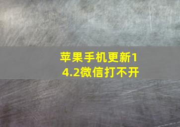 苹果手机更新14.2微信打不开