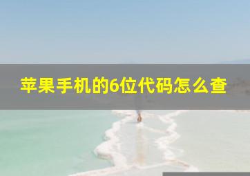 苹果手机的6位代码怎么查