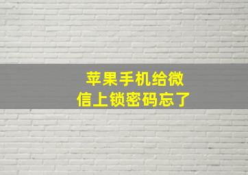 苹果手机给微信上锁密码忘了