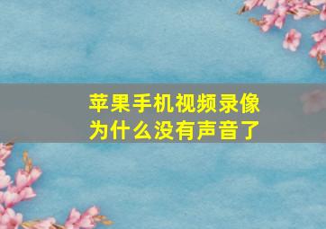 苹果手机视频录像为什么没有声音了