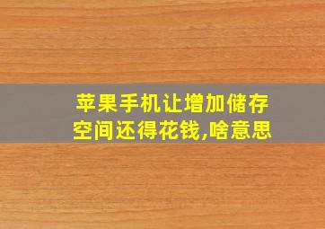 苹果手机让增加储存空间还得花钱,啥意思