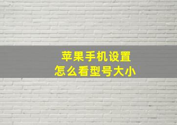 苹果手机设置怎么看型号大小