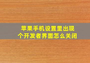 苹果手机设置里出现个开发者界面怎么关闭