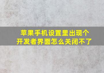 苹果手机设置里出现个开发者界面怎么关闭不了