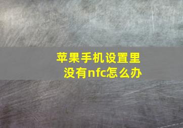 苹果手机设置里没有nfc怎么办