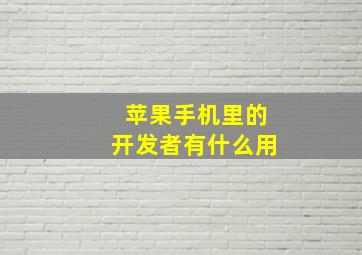 苹果手机里的开发者有什么用