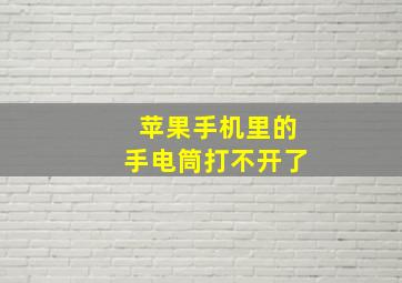 苹果手机里的手电筒打不开了